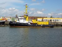 ZeehondFoto.jpg