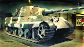 TIGERII-1.jpg