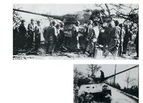 Tiger2040001.jpg