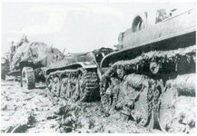 Tiger2040002.jpg