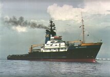 smitrotterdam-1.jpg