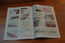 DSC_0002_2.gif DSC_0002_2.gif