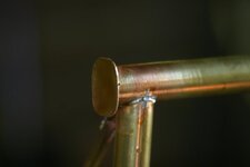 IMG_9305.jpg