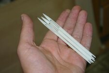 IMG_0285.jpg