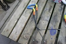 IMG_0290.jpg