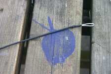 IMG_0292.jpg