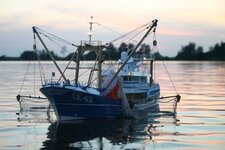 IMG_6139.jpg