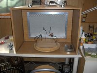 modelbouw001-3.jpg