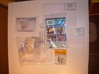 GatoYamato29082010H.jpg