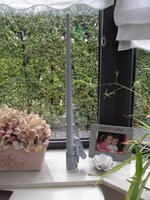 P9172142.jpg