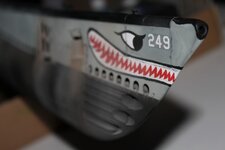 GatoImage008.jpg
