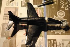 DSC_0222.jpg