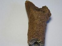Afbeelding008-5.jpg