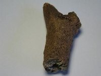 Afbeelding009-4.jpg