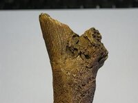 Afbeelding010-2.jpg
