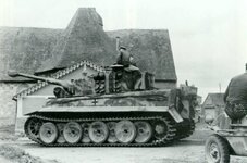tiger21.jpg tiger21.jpg