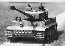 tiger24.jpg tiger24.jpg