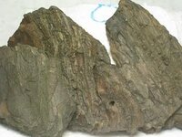 Afbeelding006-10.jpg Afbeelding006-10.jpg