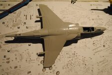 DSC_0219.jpg