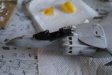 DSC_0626.jpg