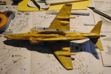 DSC_0666.jpg