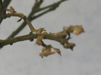 Afbeelding028-4.jpg