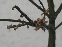 Afbeelding026-6.jpg