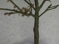 Afbeelding030-5.jpg