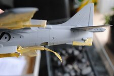 DSC_0674.jpg