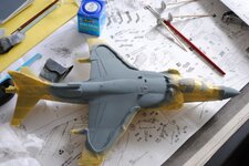 DSC_0878.jpg