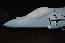 DSC_0883.jpg