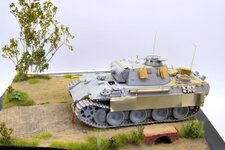 DSC_0059.jpg