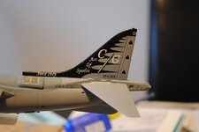 DSC_0905.jpg