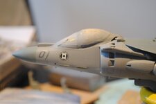 DSC_0906.jpg