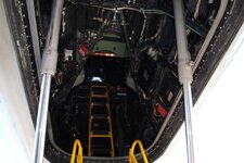 DSC_1005.jpg