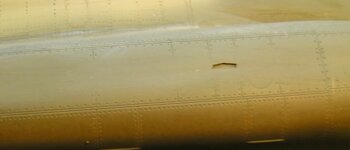 BILD1473.jpg