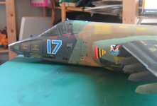 BILD1633.jpg BILD1633.jpg