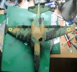 BILD1634.jpg BILD1634.jpg