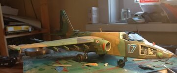 DSC_5472.jpg DSC_5472.jpg