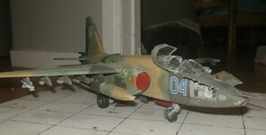 BILD0165.jpg