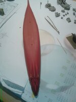DSC000532.jpg