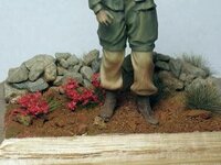 Afbeelding022-11.jpg