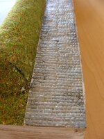 sized_DSC05834.jpg