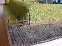 sized_DSC05937.jpg