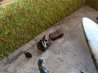 sized_DSC05955.jpg