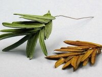 Afbeelding005-26.jpg