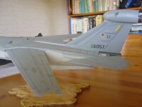 DSC01173.jpg