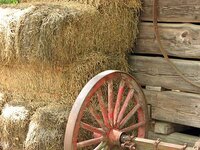 barn.jpg barn.jpg