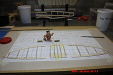 IMG_1696_zps6e88c6ec.jpg