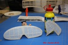 IMG_1783_zpse9085d60.jpg